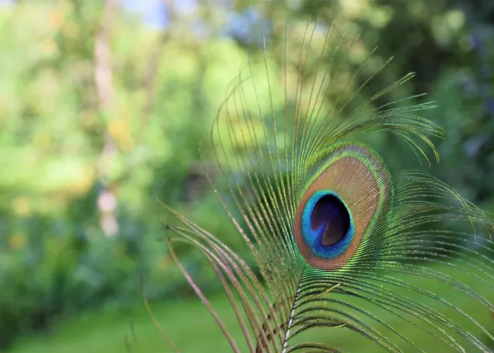 Gospodarstwo agroturystyczne Unterkotgraben