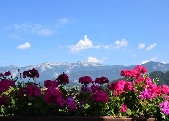 Unterkotgraben Gospodarstwo agroturystyczne Spital Am Pyhrn