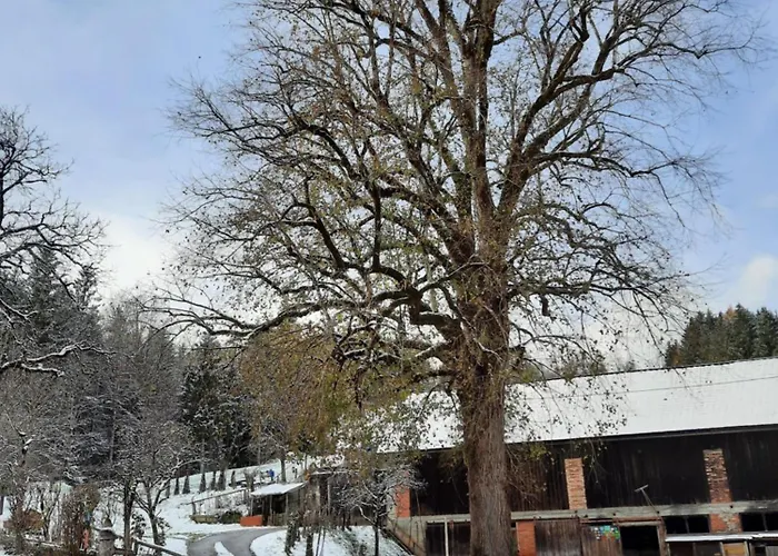 Gospodarstwo agroturystyczne Unterkotgraben