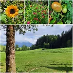 Unterkotgraben Spital Am Pyhrn