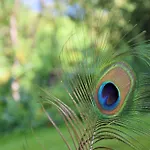 Gospodarstwo agroturystyczne Unterkotgraben