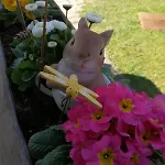 Unterkotgraben Gospodarstwo agroturystyczne