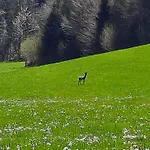 Gospodarstwo agroturystyczne Unterkotgraben