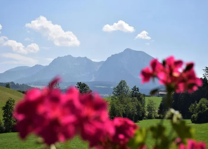 Çiftlik konaklama Unterkotgraben