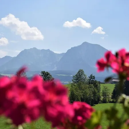 Bauernhof Unterkotgraben Familie Schmeißl