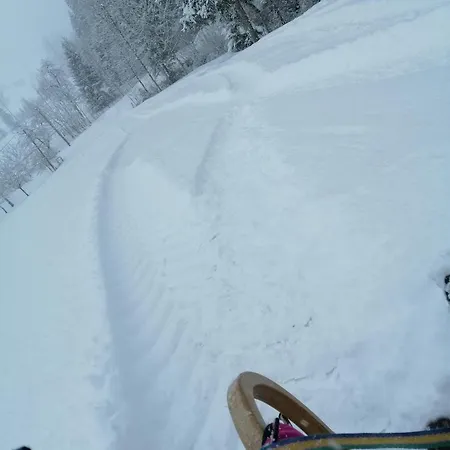 Unterkotgraben Familie Schmeißl * Spital Am Pyhrn
