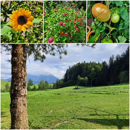 Unterkotgraben Familie Schmeißl Spital Am Pyhrn