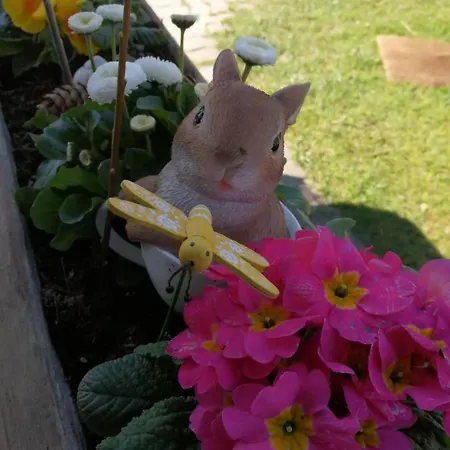 Unterkotgraben Familie Schmeißl Bauernhof