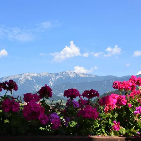 Unterkotgraben Familie Schmeißl Bauernhof Spital Am Pyhrn